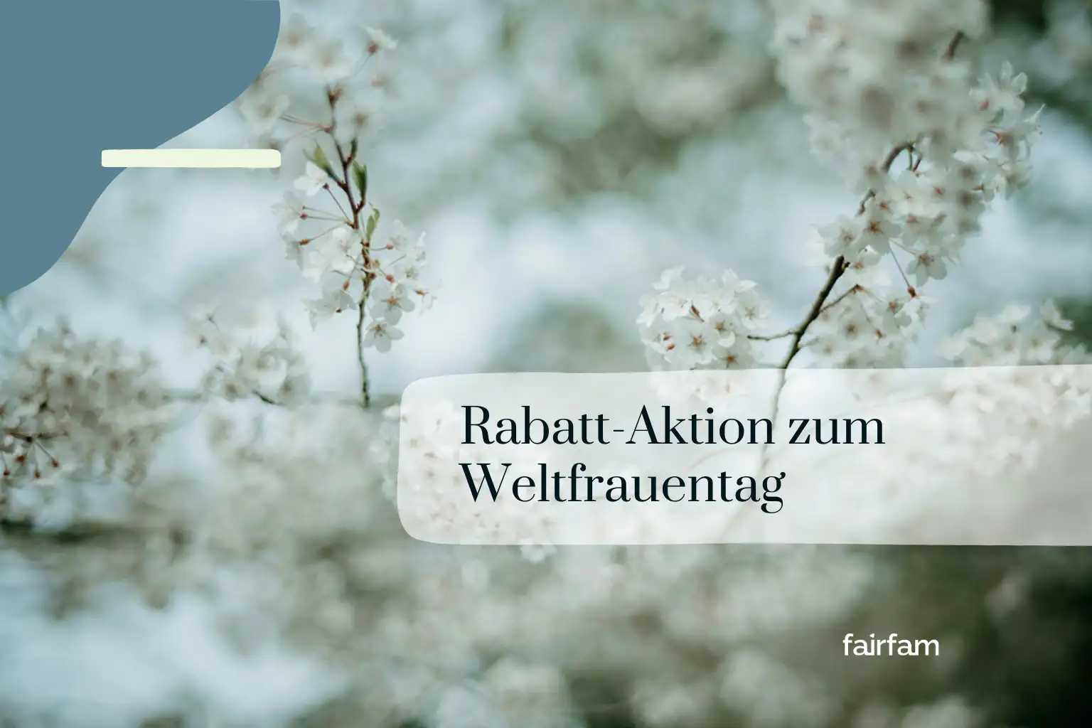 08. März – Warum Gleichberechtigung zu Hause beginnt